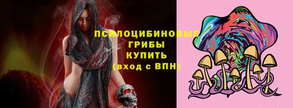 ешки Каменногорск