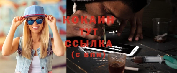 шишки Каменка