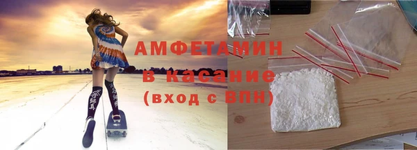 шишки Каменка