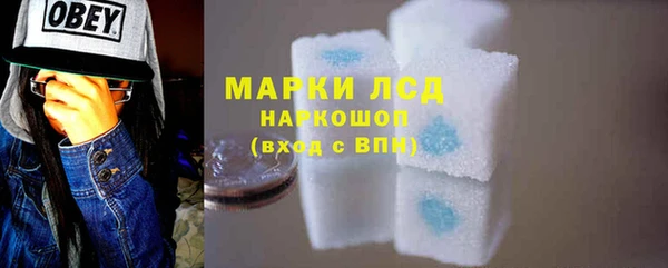 шишки Каменка