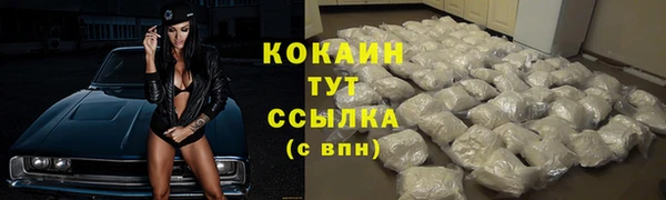 шишки Каменка