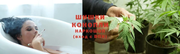 шишки Каменка