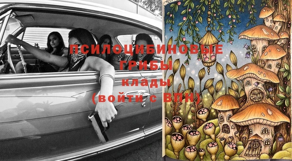 ешки Каменногорск