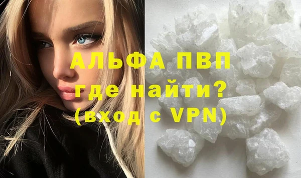 ешки Каменногорск