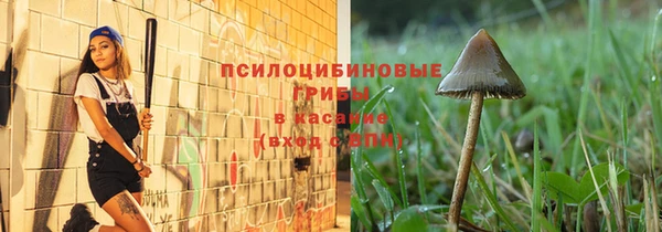 хмурый Нея