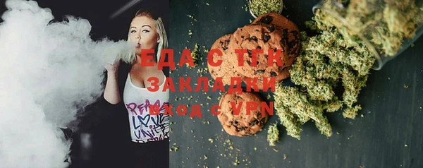 шишки Каменка