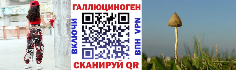 Псилоцибиновые грибы мицелий  Купить закладки  Гудермес 